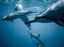 开云官网：开启品质生活的全新入口